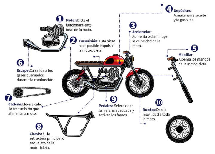 Estructura de la motocicleta